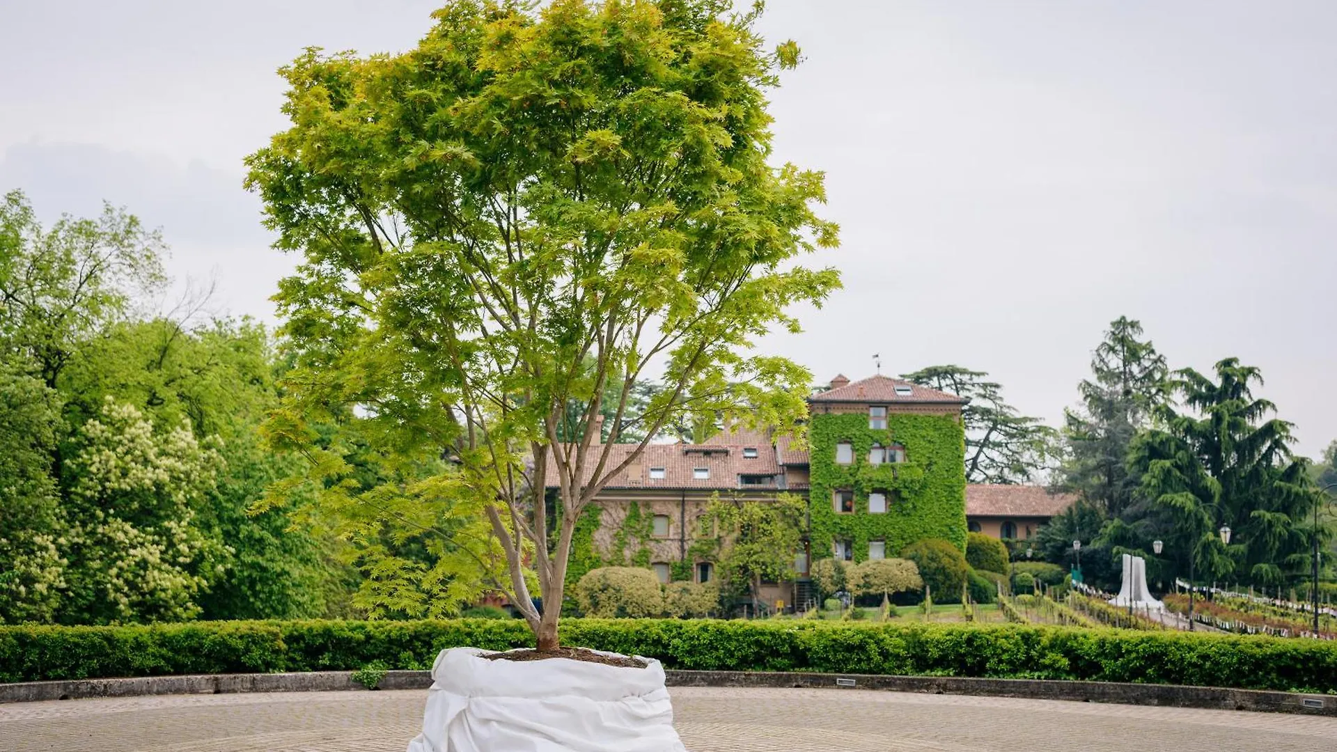 Resort L'Albereta Relais & Chateaux Erbusco
